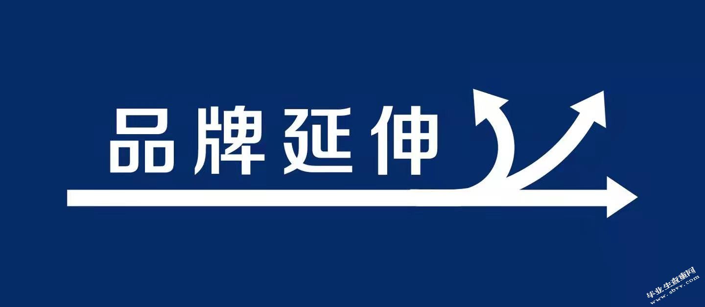 品牌延伸问题与对策研究