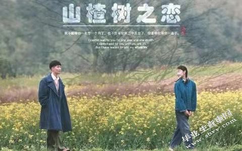 网络小说与电视剧人物形象比较分析 ——以《山楂树之恋》为例