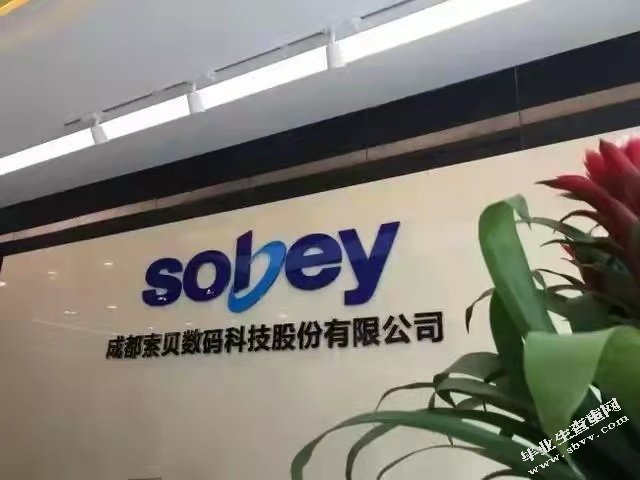 索贝公司的核心竞争力分析
