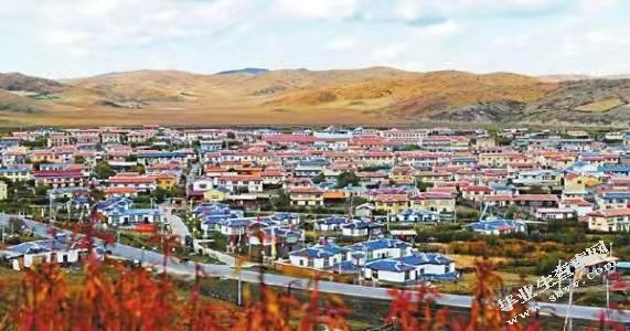少数民族贫困地区扶贫现状 阿坝州红原县为列