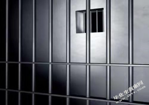 我国死刑替代措施的实践与制度研究