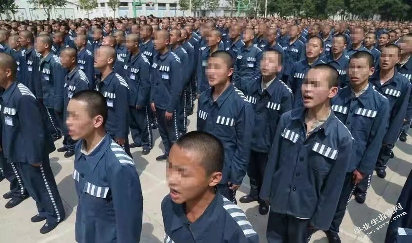 青少年犯的心理特征及其心理矫治