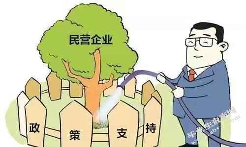 浅析我国现代企业制度下民营企业的人力资源管理