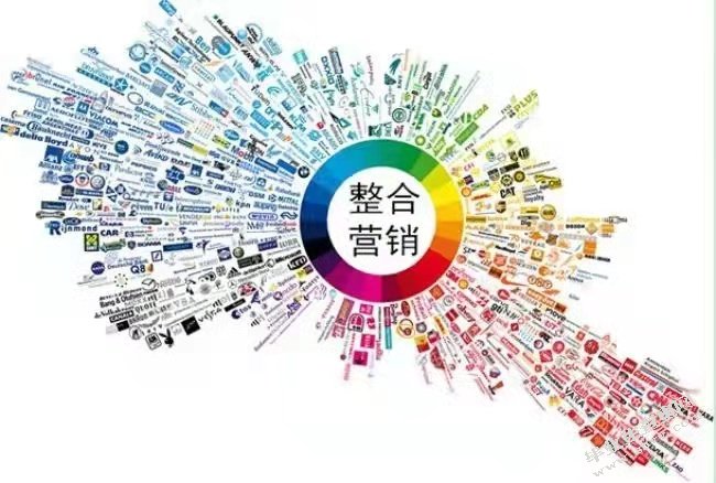 企业网络“病毒式”营销方案策划与实施