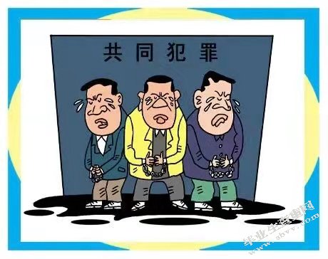 论共同犯罪中的刑事责任问题