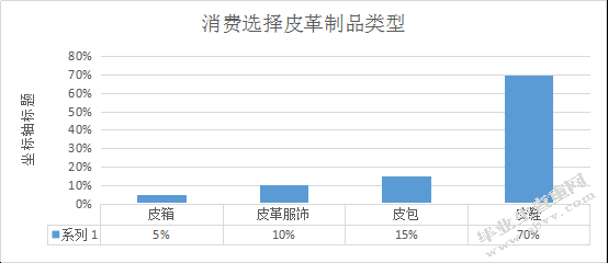 星期六股份有限公司促销策略分析