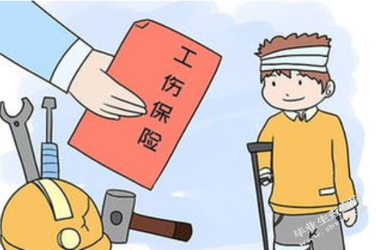 工伤保险与民事侵权责任的适用问题——以动物园工作人员受动物侵