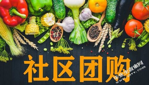 社区团购发展现状及对策研究