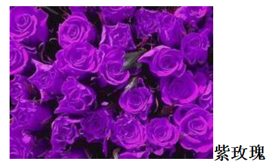 155f49ee015932baf136a6897bf49c9d