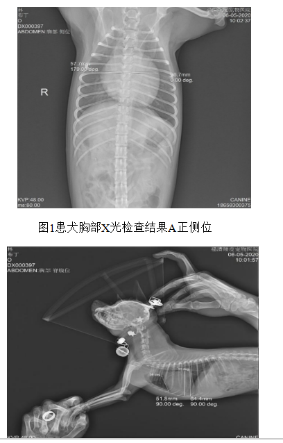 15dc5f28255cb6922c714556d4e8fd1b