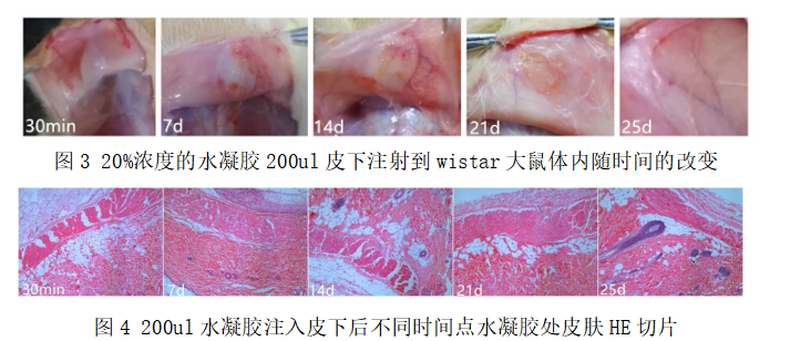 18a14e052f2407861836d11a1778e6cc