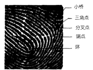 196e0a3bd984f4870b809dd65f07fb70