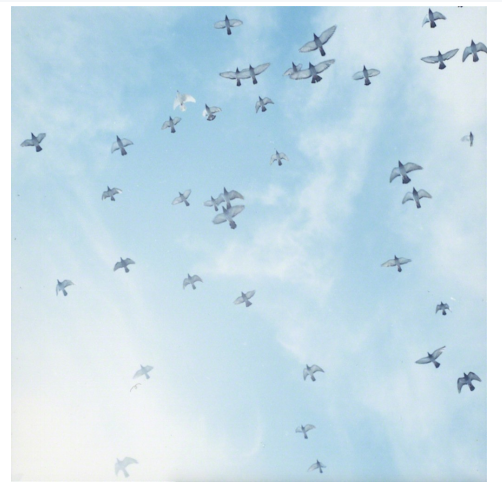 2b1a6eb227c4e21d62b9b50f68de5556