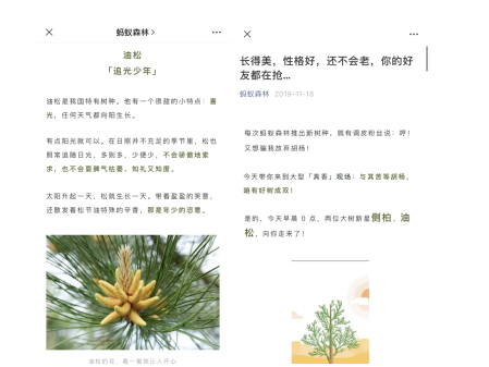 2f8338a50de4d090701cf93ea88c7cb6