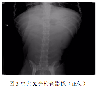 359f6b4ab44a48e1cb60471481287534