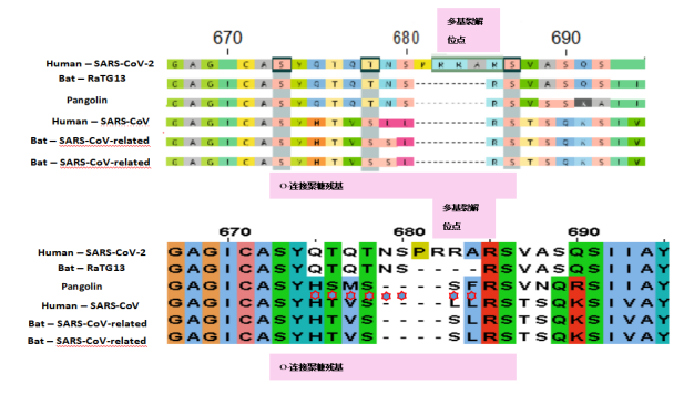 36a628db6e6748436230e1d0f43f52bf