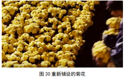 457d5d7175606a0c6f565e19bcdc0775