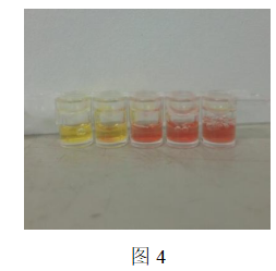 71c2686cedbd6599905c591b1cd2efd6