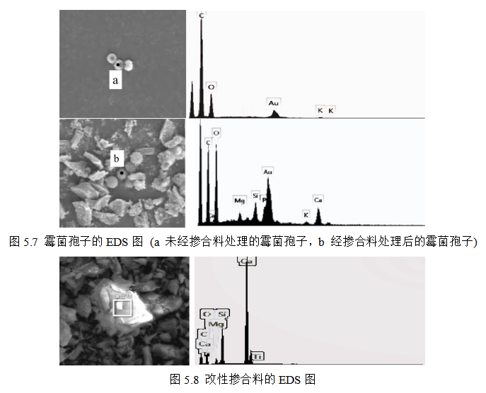 8cff39a3a0eefc3685ebcb4bc4beb237