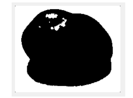 984e38f1cdd830bb438b9b8fb6281f45