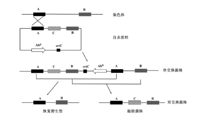 9aa7ec0f661f276cf6cee7a815ad7c67