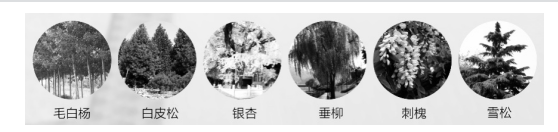 9bef4a833720d29cfc6dfa7c63b2cfb0