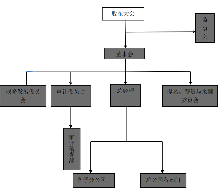 内部审计存在的问题及对策 ——以九芝堂股份有限公司为例