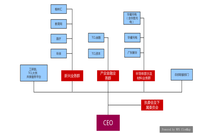 浅析TCL集团股份有限公司内部控制的现状及对策