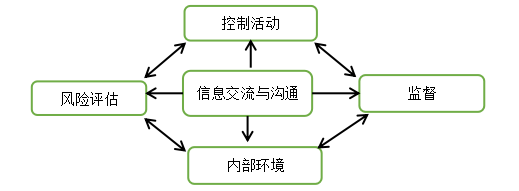 浅析我国企业内部控制存在的问题及其对策—以大有能源公司为例