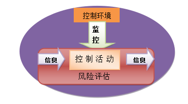 上市公司内部控制缺陷影响因素研究——以海南椰岛股份有限公司为例