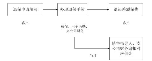 新华保险内部控制研究