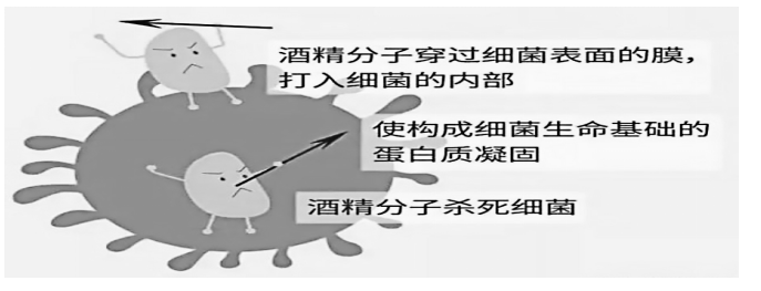 基于用户需求的手机杀菌消毒盒设计探析