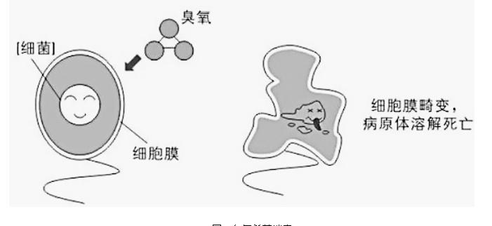 基于用户需求的手机杀菌消毒盒设计探析