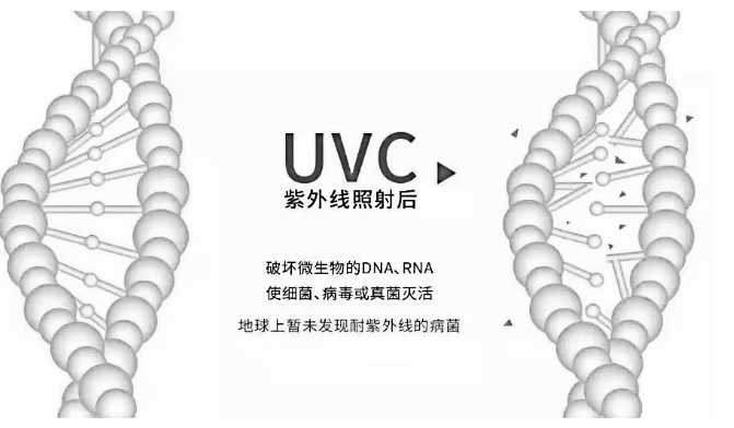 基于用户需求的手机杀菌消毒盒设计探析