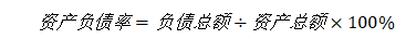 京东安联财务报表分析