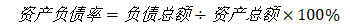 京东安联财务报表分析