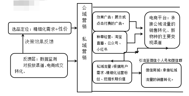 网红经济下广州逸仙公司营销策略研究