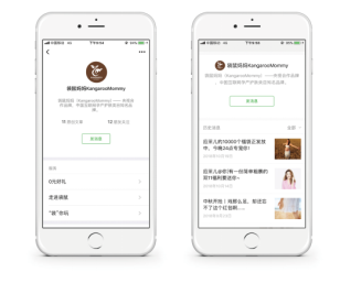 浅谈企业标志应用方法—以袋鼠妈妈品牌为例