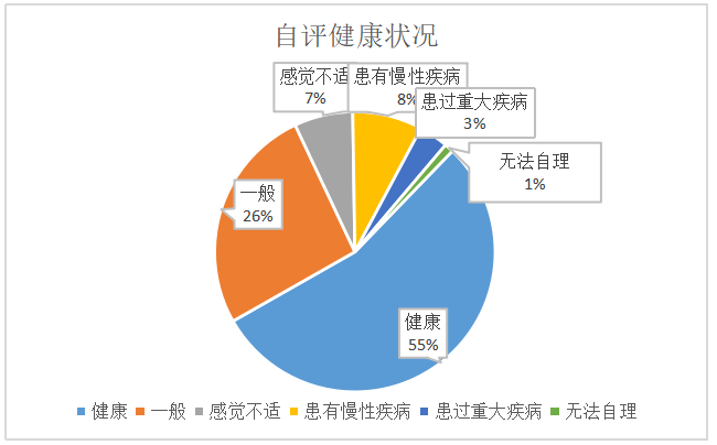 基于社会支持理论的中老年人口电子健康素养提升路径研究
