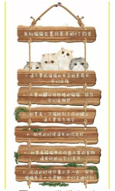 浅析森系VI设计风格在猫咖产品营销中的运用