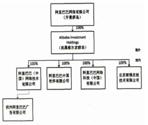 VIE结构及其风险研究