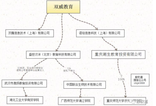 VIE结构及其风险研究