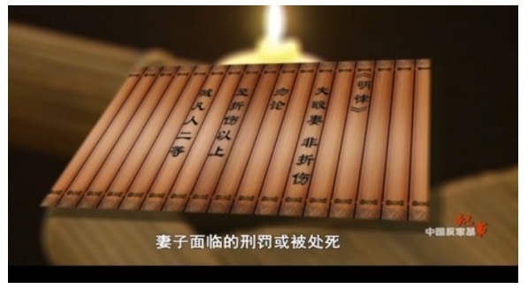 网络舆论力量对受害者权益保护的研究