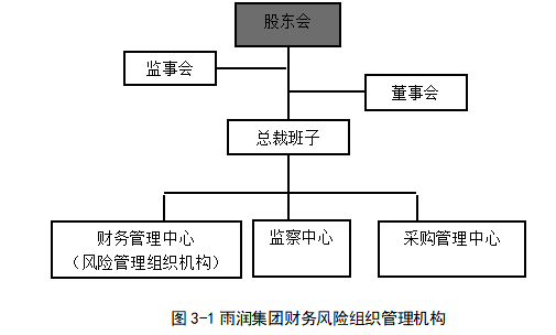 集团财务风险管理体系构建的研究——基于江苏雨润集团分析