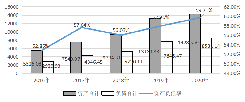 云南生物谷公司偿债能力分析及策略研究