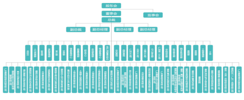 上市公司与会计师事务所共同舞弊问题研究以康美医药为例