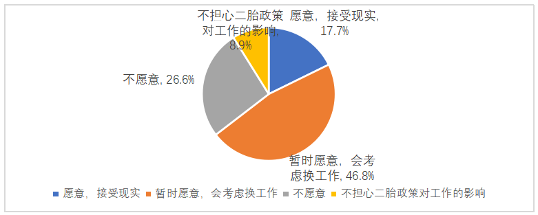 “二孩”政策背景下女性平等就业问题研究
