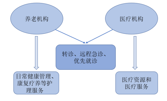 ”医养结合“养老服务模式发展研究