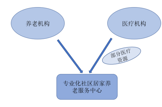 ”医养结合“养老服务模式发展研究