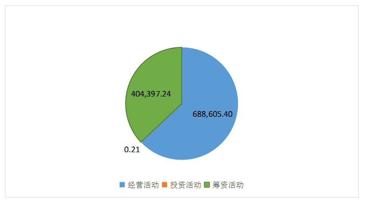 湛江晨鸣浆纸有限公司财务报表分析